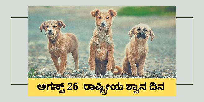 ಪ್ರೀತಿ ವಿಶ್ವಾಸ ನಿಯತ್ತಿನ ಪ್ರಾಣಿ ನಾಯಿ ಸಾಕುವವರಿಗೆ  ಕೆಲ ಸಲಹೆಗಳು