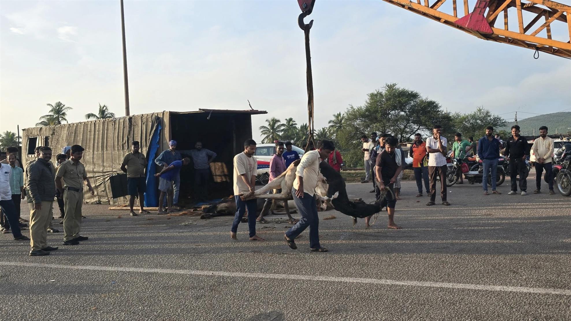 ಕೊಪ್ಪಳ : ಗೋವು ಸಾಗಿಸುತ್ತಿದ್ದ ಕಂಟೇನರ್ ಲಾರಿ ಅಪಘಾತ