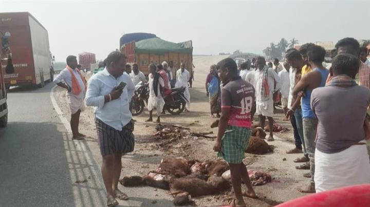 ಕೊಪ್ಪಳ : ಲಾರಿ ಡಿಕ್ಕಿ : NH ನಲ್ಲಿ 11 ಕುರಿಗಳು ಬಲಿ