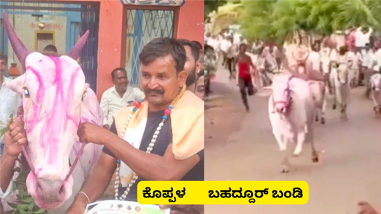 ಕೊಪ್ಪಳದಲ್ಲಿ ಬಾಳಪ್ಪ ಗೆಜ್ಜಿಯವರ ಎತ್ತು ಕರಿ ಹರಿತು