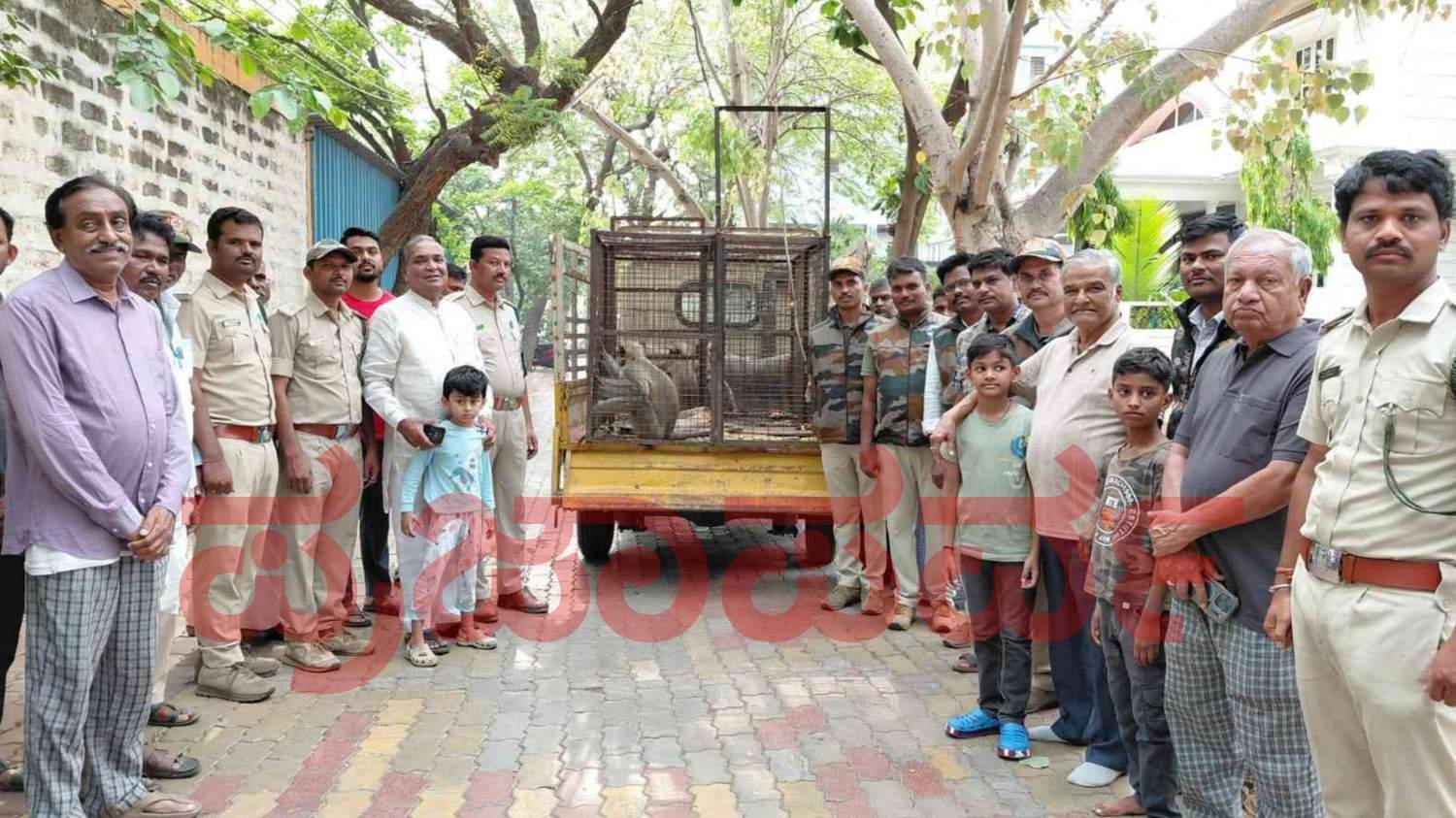 ಹಲವರನ್ನು ಕಚ್ಚಿ ಗಾಯಗೊಳಿಸಿದ್ದ ಕೋತಿ ಸೆರೆಗೆ ಹರಸಾಹಸ